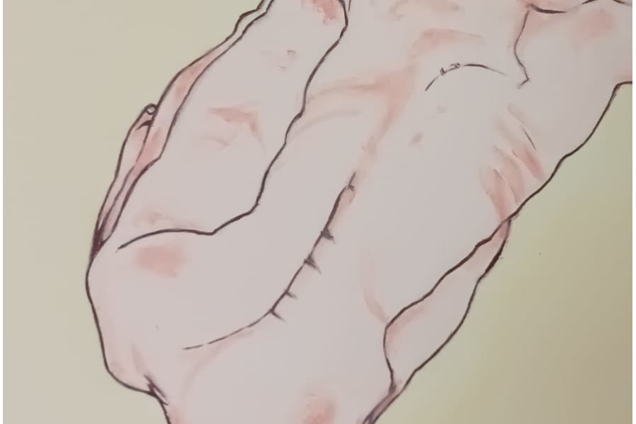 Detalle de la reproducción de la obra "Mujer en cuclillas" de Egon Schiele